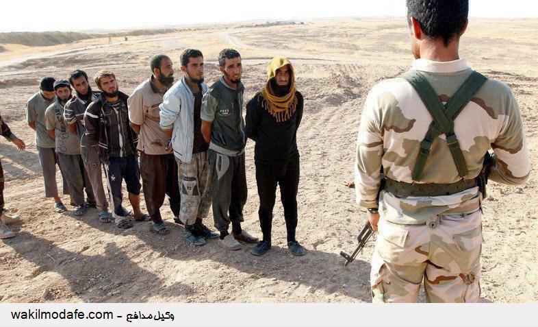 داعشی ها در بازداشت پیشمرگه ها (عکس)