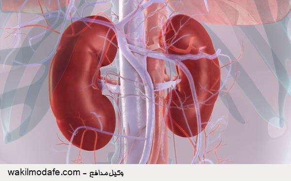 بیماری‌های کلیوی؛ قاتلان خاموش!