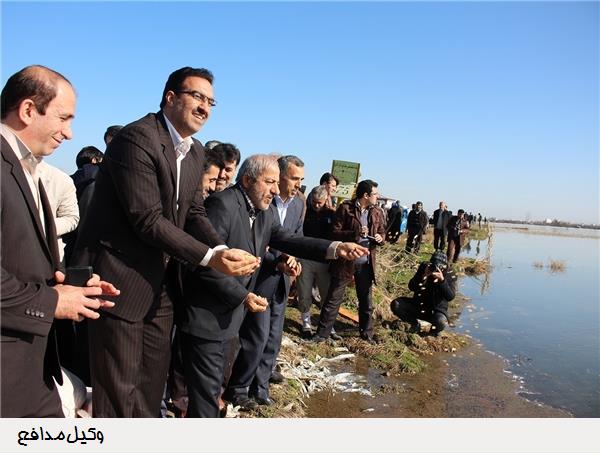 فریدونکنار؛ مکان بزرگترین ضیافت برای پرندگان و بزرگترین قتلگاهشان فریدونکنار؛ مکان بزرگترین ضیافت برای پرندگان و بزرگترین قتلگاهشان